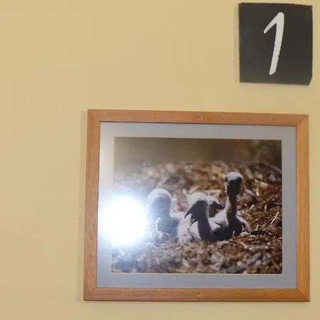 Peña Falcón Casa rural