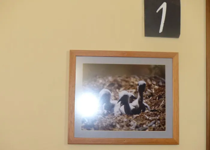 Pena Falcon Landhuis