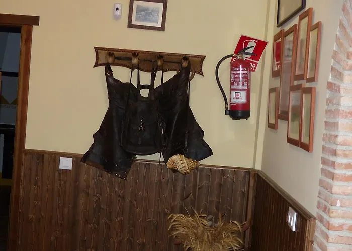 Pena Falcon Landsted